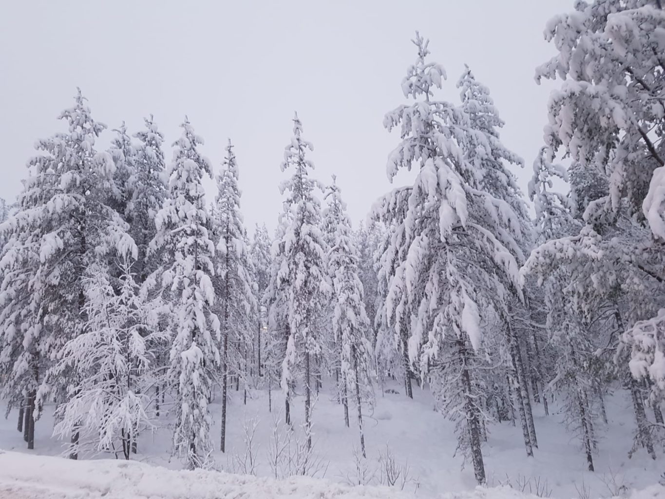 Schneemann Rovaniemi Lappland